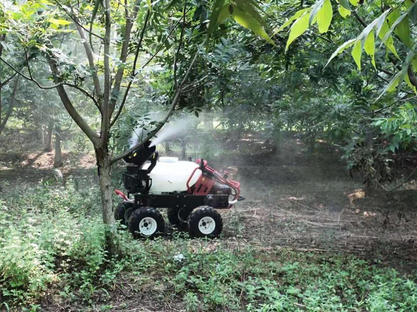 4abb8a4fab61e4bede97f30730c52d8